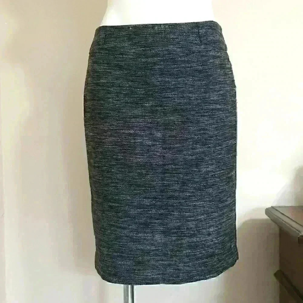 Ann Taylor Skirt 